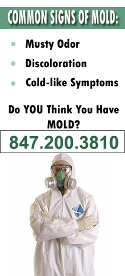 Hoffman Estates Mold Remediation Contractor
